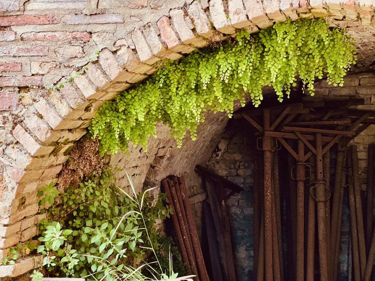 Le Fonti Di San Gimignano Apartment Exterior photo